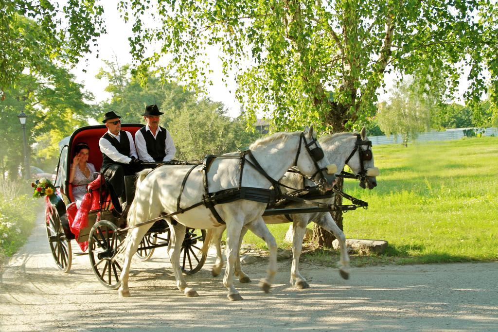 Hotel *** Plauter Kuria Вельки Медер Екстер'єр фото